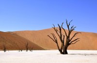 هكذا تحول المناخ إلى عامل في تغذية الصراعات في المنطقة