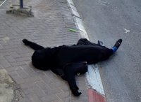استشهاد "مقدسية" برصاص جنود الاحتلال
