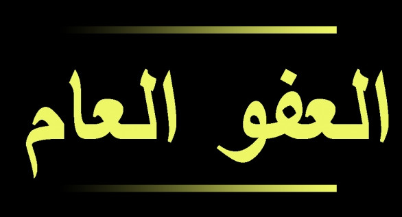 170 مليون دولار كلفة العفو العام