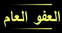 170 مليون دولار كلفة العفو العام