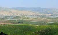 الحكومة بصدد حصر توزيع اراضي الغور بأهالي الغور