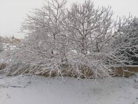 تعرف على حالة الطقس في المملكة