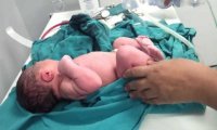 أطفال النطف المهربة في فلسطين… أمل الأمهات بظل غياب الأزواج
