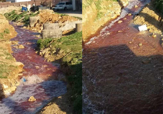 بالصور .. تفريغ دماء مسلخ جرش في السيل