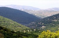 انطلاق فعاليات أسبوع الغابات الأردني غداً