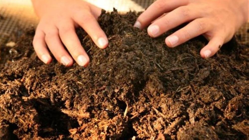 إنشاء محطة للسماد العضوي في المفرق