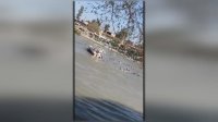 مصدر أمني: لهذا غرقت العبارة في نهر دجلة