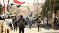 الصفدي: النصر على عصابات داعش انجاز مهم للتحالف الدولي