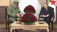 تعرف على المادة 102 من الدستور الجزائري التي طالب رئيس الأركان بتطبيقها