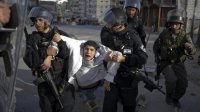 250 طفلا يواجهون القمع في سجون الاحتلال