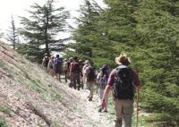 ترويجاُ للاردن.. أردنيان يقطعان جبال لبنان مشياً على الاقدام