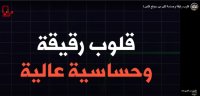 قلوب رقيقة وحساسة لكن من سيدفع الثمن !