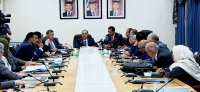 أبو صعيليك : الرزاز وجه بدراسة ملف الكهرباء في الأردن