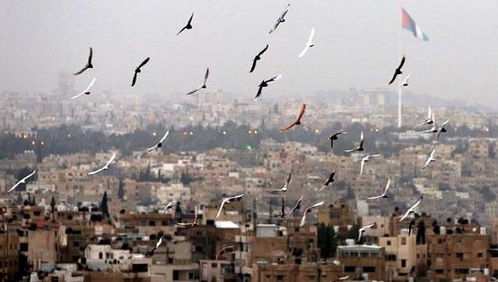 الحالة الجوية لثلاثة أيام