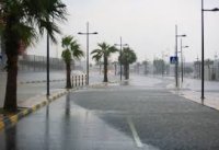 السير : جميع الطرق في المملكة سالكة