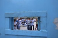الصفدي : 170 دولة تصوت لتجديد ولاية أونروا