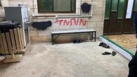 شاهد | عصابات من المستوطنين تدنس مسجدا في القدس