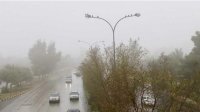 المنخفض الجوي يتعمق .. وهطولات مطرية غزيرة