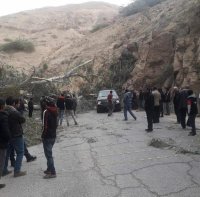 سقوط شجرة في وادي شعيب واغلاق الطريق