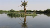 الازرق: 6 اناث يعملن في الزراعة مأواهن حافلة قديمة