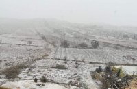 مناطق عجلون تشهد تساقطا للثلوج