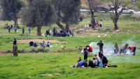 أجواء مثالية للرحلات يومي الجمعة والسبت