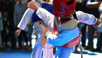 تأجيل المرحلة الثانية من الدوري الاردني للتايكواندو