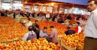 400 طن كمية الخضار الواردة لسوق العارضة المركزي