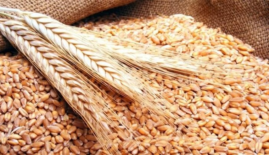 خطة طوارئ لتخزين مواد منها القمح بالطاقة القصوى
