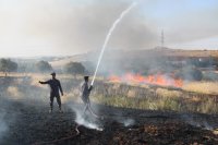 الدفاع المدني يتعامل مع 256 حريق أعشاب جافة وأشجار حرجية ومثمرة(صور)