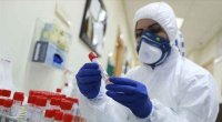 العزب: جميع نتائج عينات مخالطي مصابتي دير علا وعين الباشا سلبية