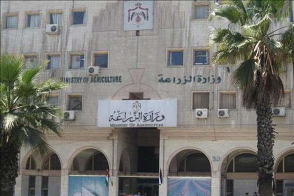 الزراعة تتسلم 8 آلاف طن قمح و40 ألف طن شعير
