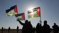 يوم غضب في فلسطين وعواصم رفضًا لقرار "الضم"
