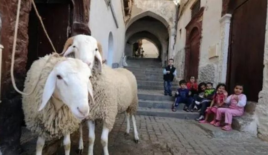 فلكيا.. عيد الأضحى يوم الجمعة 31 تموز