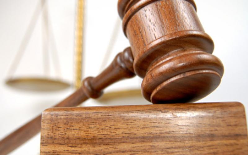 الأعلى في الأردن .. 7194 معاملة تخارج خلال عام