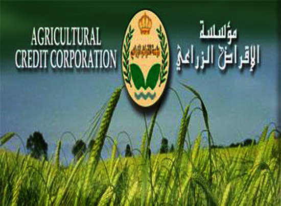 إقراض 500 مزارع متضرر من عاصفة التنين