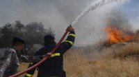 حريق كبير لمناطق حرجية في حسبان