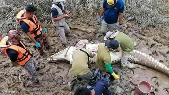 العثور على بقايا طفل ببطن تمساح