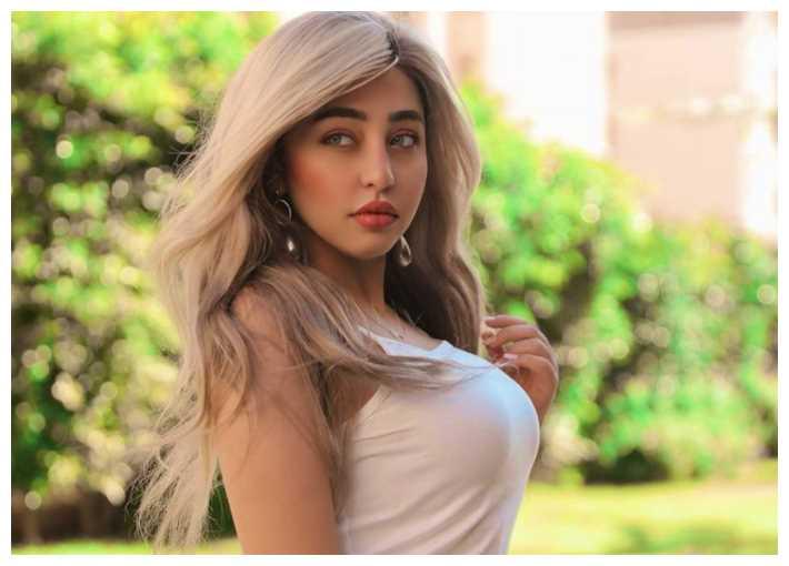 مصر : فتاة الـ تيك توك تقود أسرتها للسجن .. والمحامي يتنحى