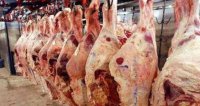 الحجز على أموال شركة تجارة لحوم كبيرة