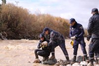العميد الطروانة : رفد مركز دفاع مدني شهداء البحر الميت بـ 27 منقذاً