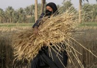 21 ألف أردنية يعملن في الإنتاج النباتي والحيواني