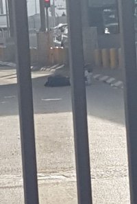 جيش الاحتلال يطلق النار على شاب عند حاجز قلنديا شمال القدس المحتلة - صور