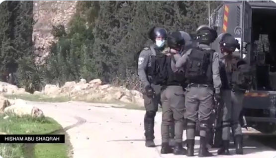 الاحتلال يعتقل 11 فلسطينياً في الضفة الغربية