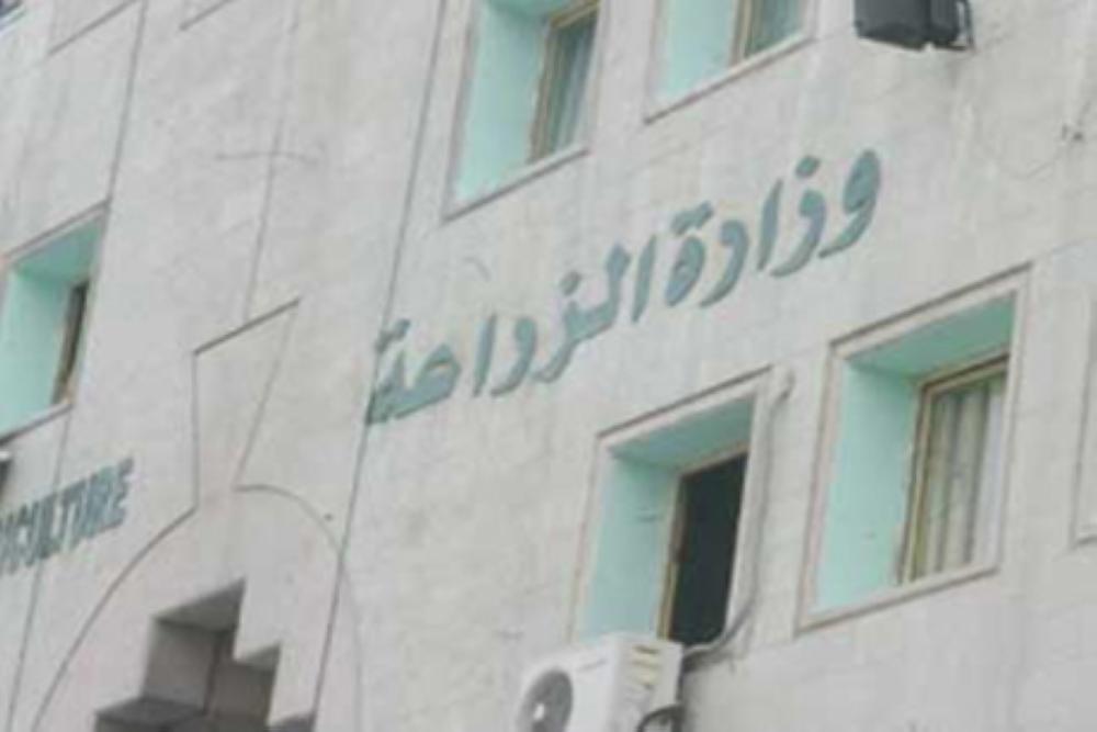 استيراد مخالف لـ"الموز والأغنام والخضار" يحيل الزراعة لمكافحة الفساد