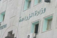 استيراد مخالف لـ"الموز والأغنام والخضار" يحيل الزراعة لمكافحة الفساد