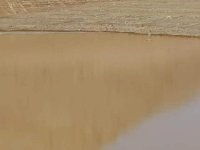 الامطار ترفع منسوب المياه في سدود العقبة