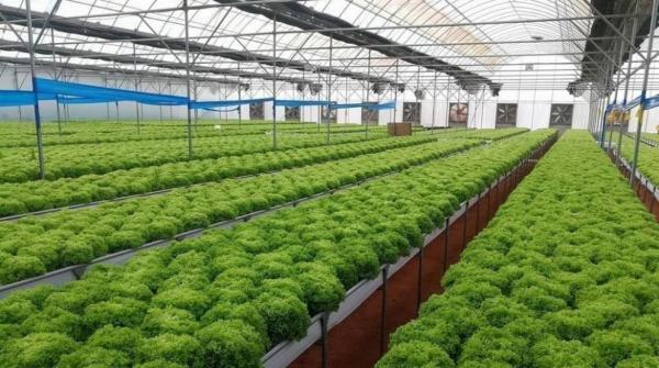 75 مليون دولار لدعم القطاع الزراعي في الأردن