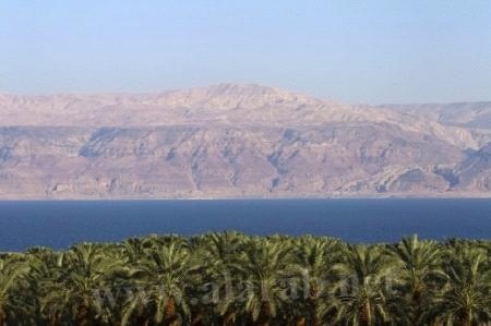مناقشة تأهيل مدخل غور الصافي العام المقبل