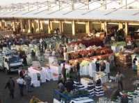 العمل: ضبط 91 عاملاً وافداً يعملون بمهنة نقل الخضار بالعربات الصغيرة